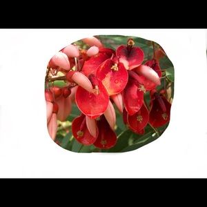 Meet your Posher, Sky